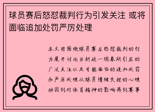球员赛后怒怼裁判行为引发关注 或将面临追加处罚严厉处理
