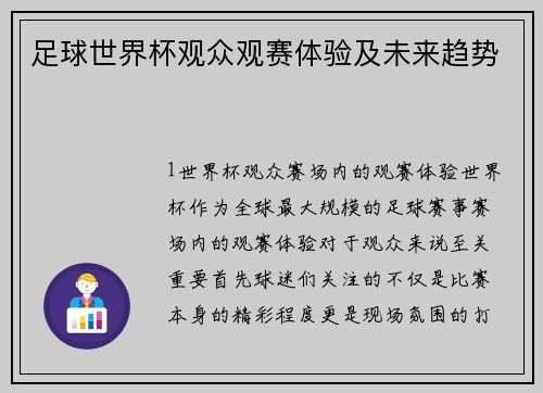 足球世界杯观众观赛体验及未来趋势